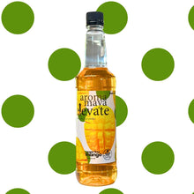 Load image into Gallery viewer, Elevate Sugar-Free Syrup - choose flavour